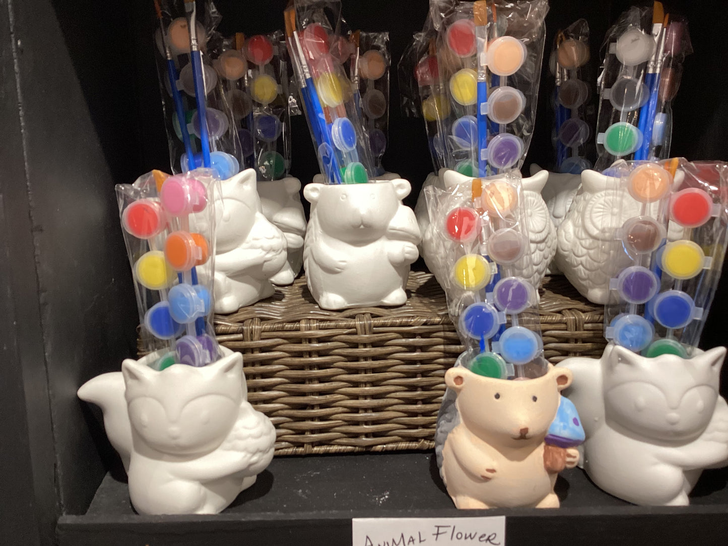Animal Flower Pot Kit